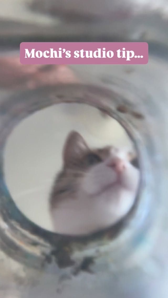 : WARNING ‼️ Extreme Kitten Cuteness
Stay hydrated, Friends! 💦