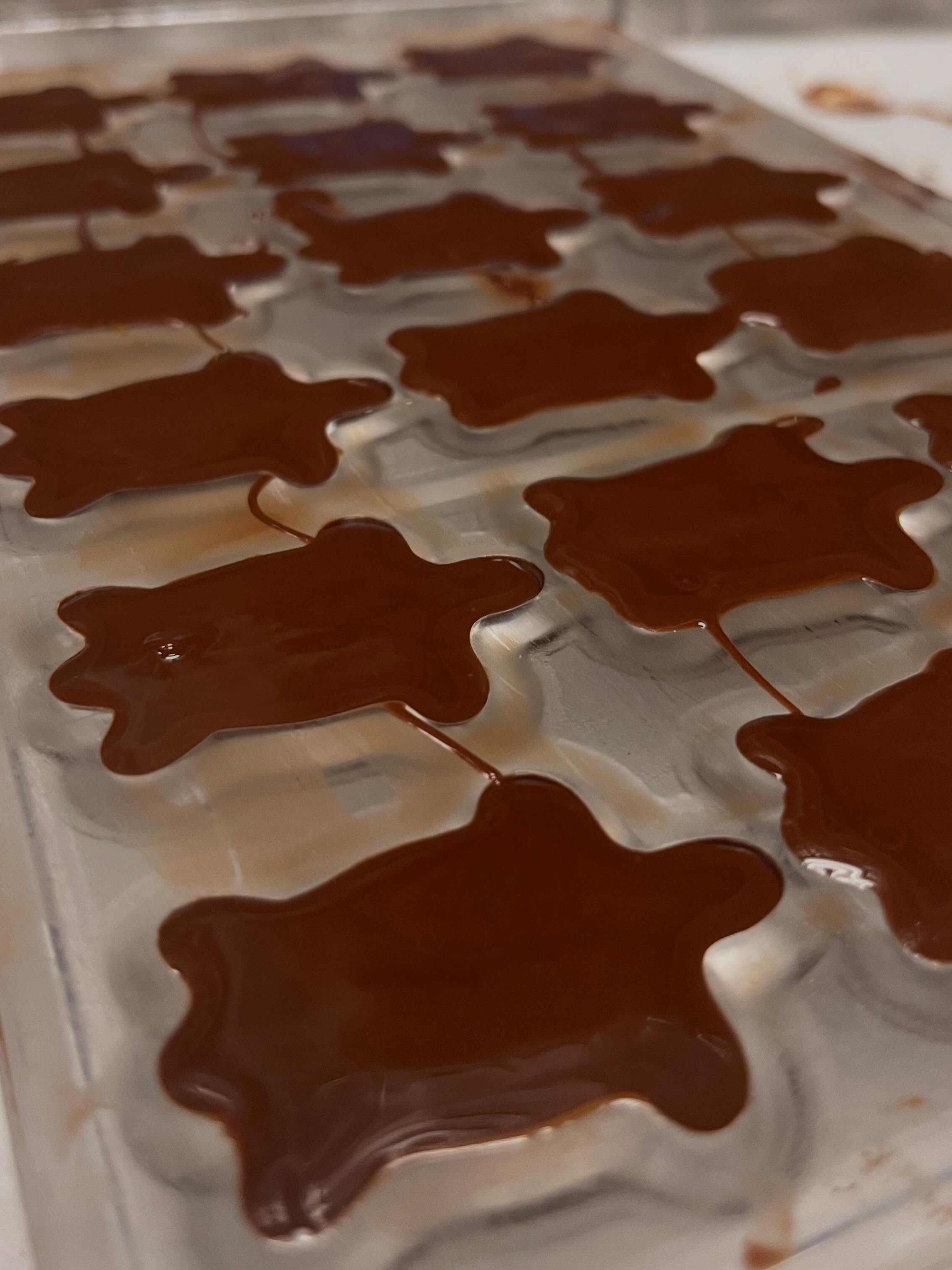 ✨ Truffle Feature ✨ The Turtle 🐢
Our cute and crunchy little turtles are filled with rich house-made caramel, half a walnut, and the whole wrapped in smooth dark chocolate. The final touch of edible green luster, makes them look ready to scamper off to adventures!
Have you had our turtle?
#stargazerfinechocolatesandcoffeebar #turtle #turtletruffle #denverchocolate #familybusinessdenver